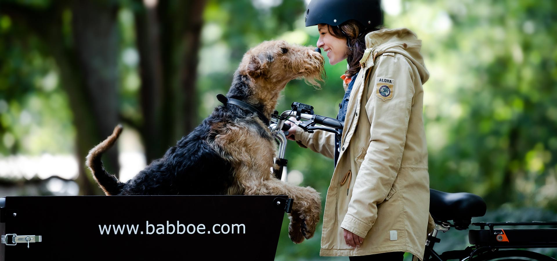 Babboe Dog Hundeanhänger Fahrrad