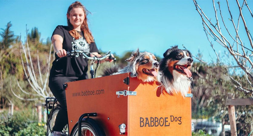 Fahrradfahren mit Hund