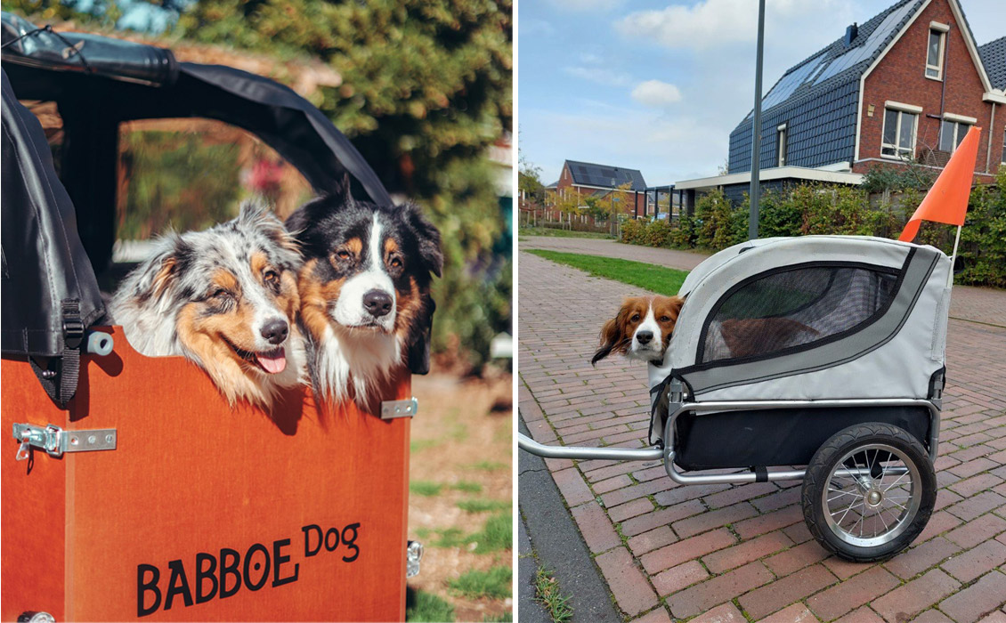 Fahrrad-Anhänger für Hunde Hundebuggy | Hundekrone