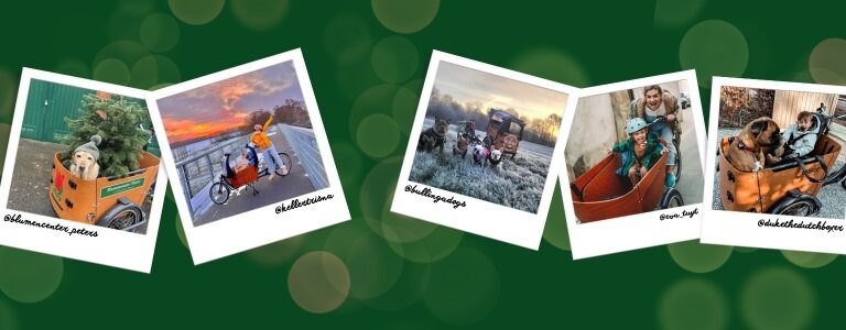 Weihnachtsangebote