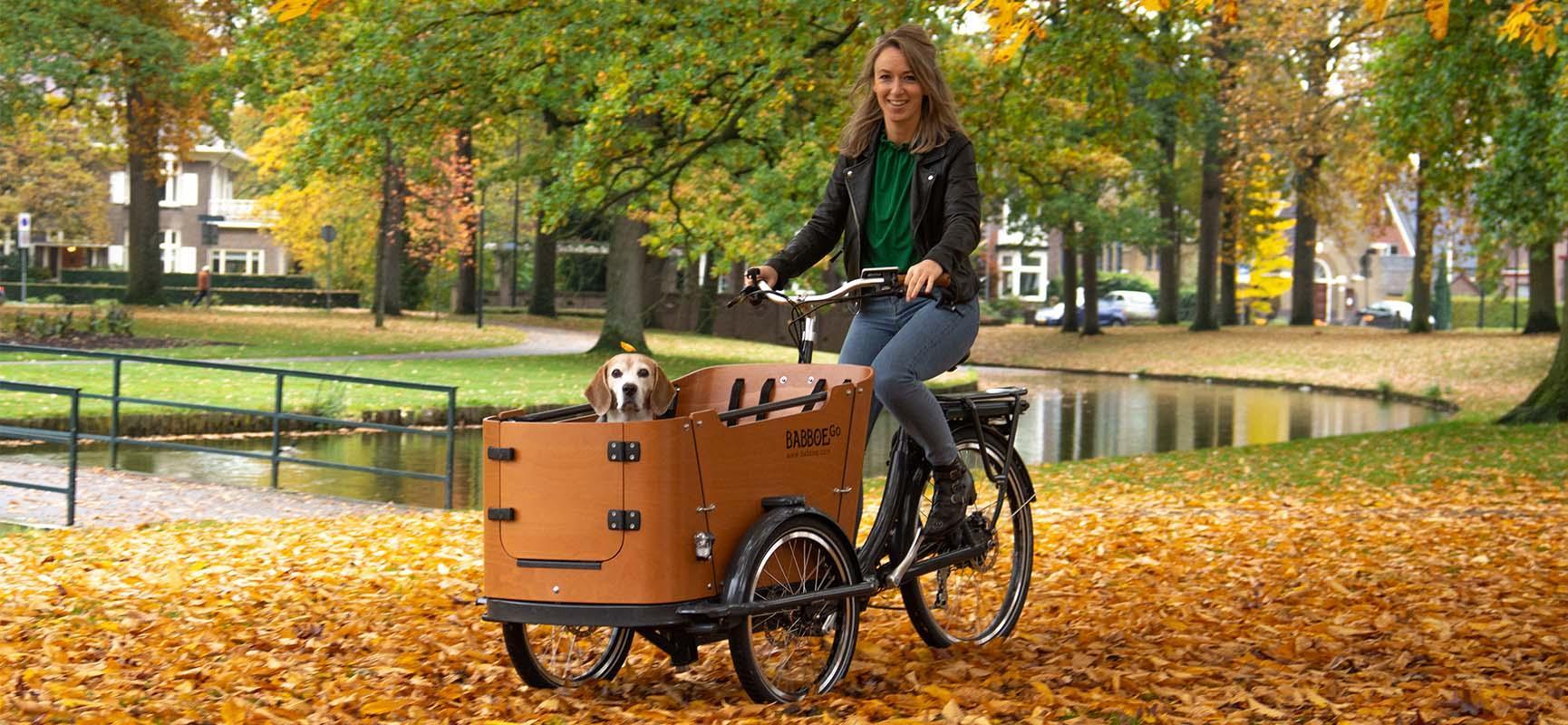 Mein elektrisches hunde lastenfahrrad und ich Babboe