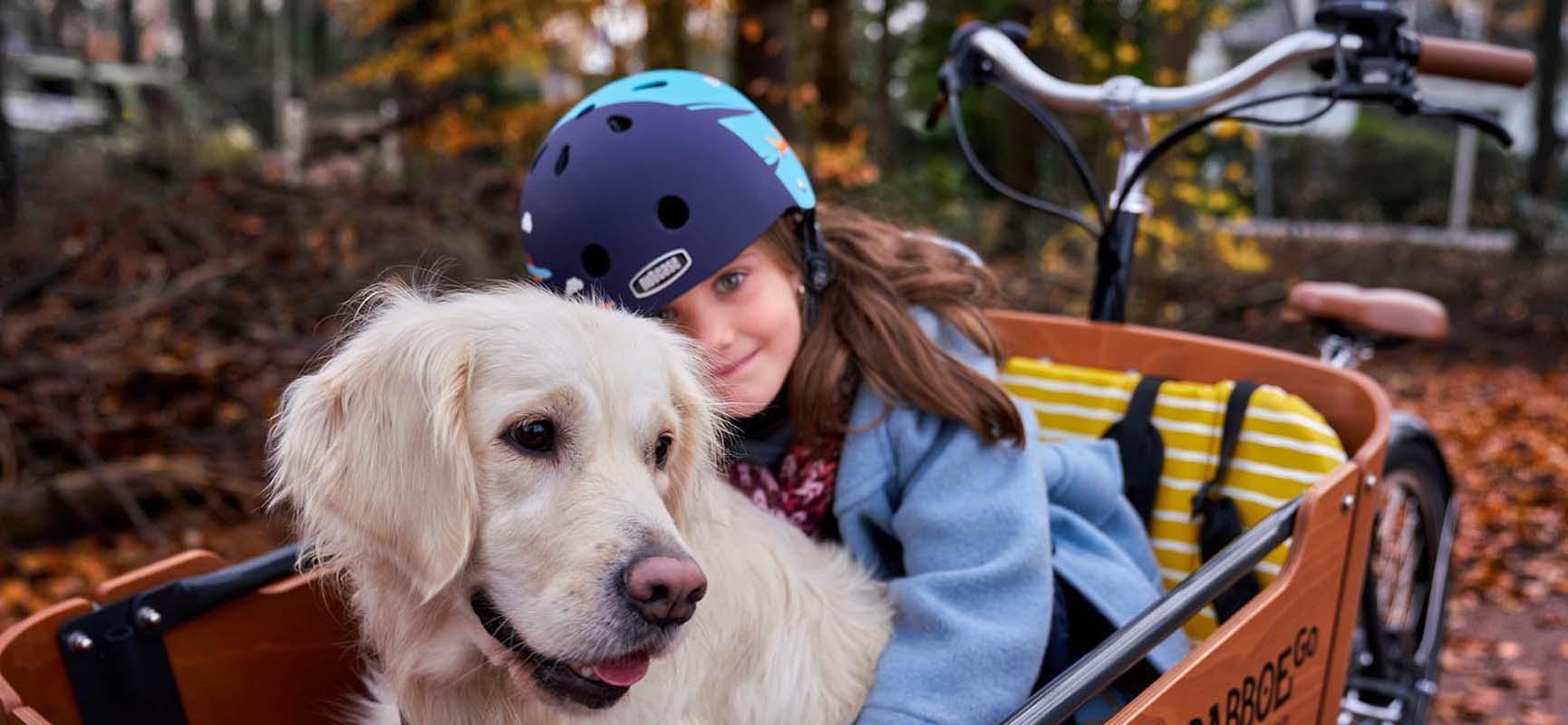 Lastenrad fur Hunde