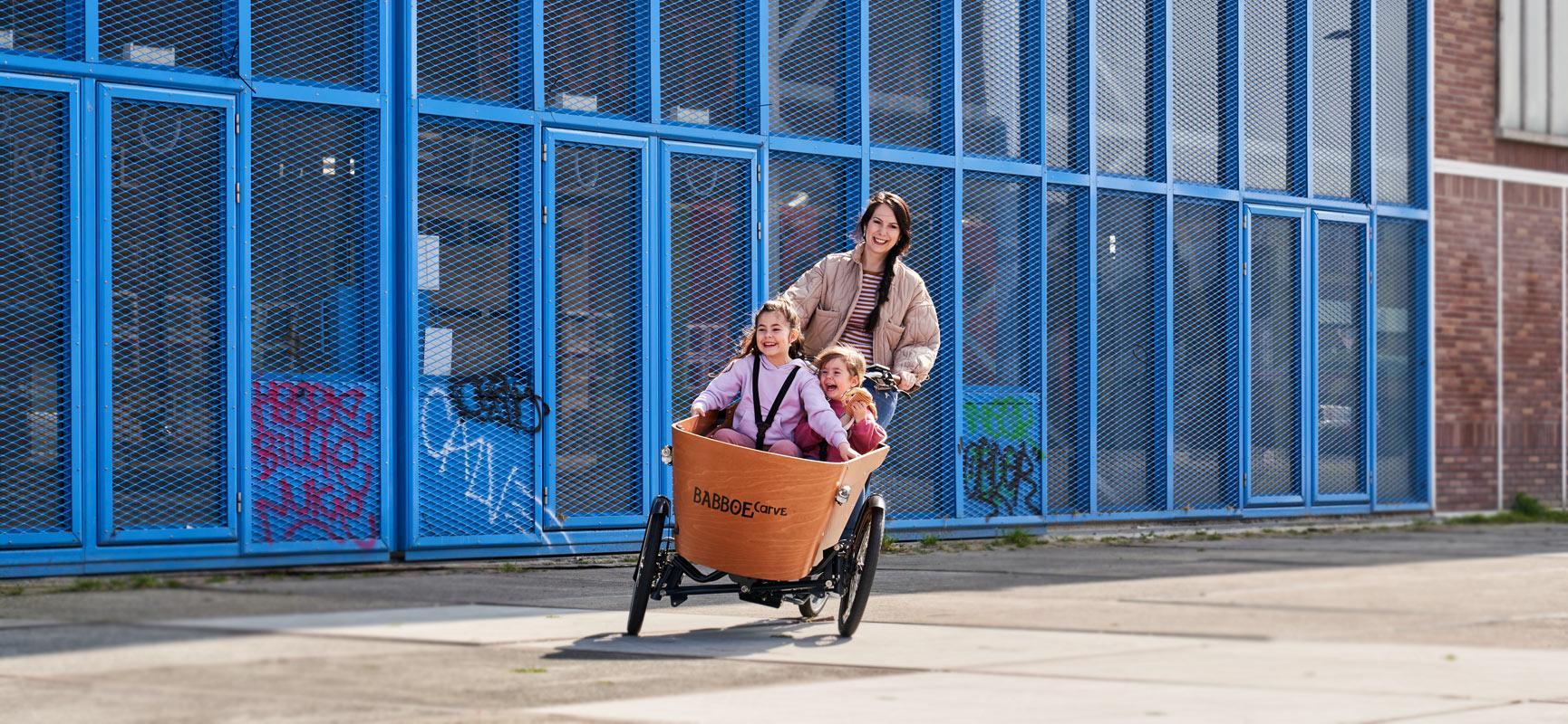 Lastenfahrrad kaufen