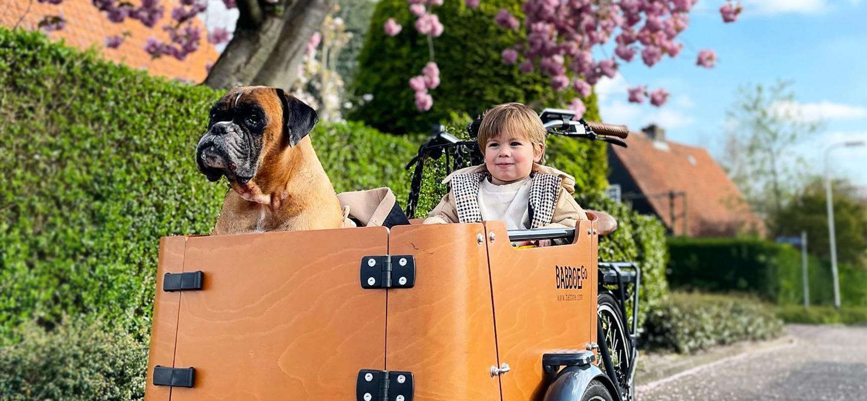 Lastenrad fur Hunde