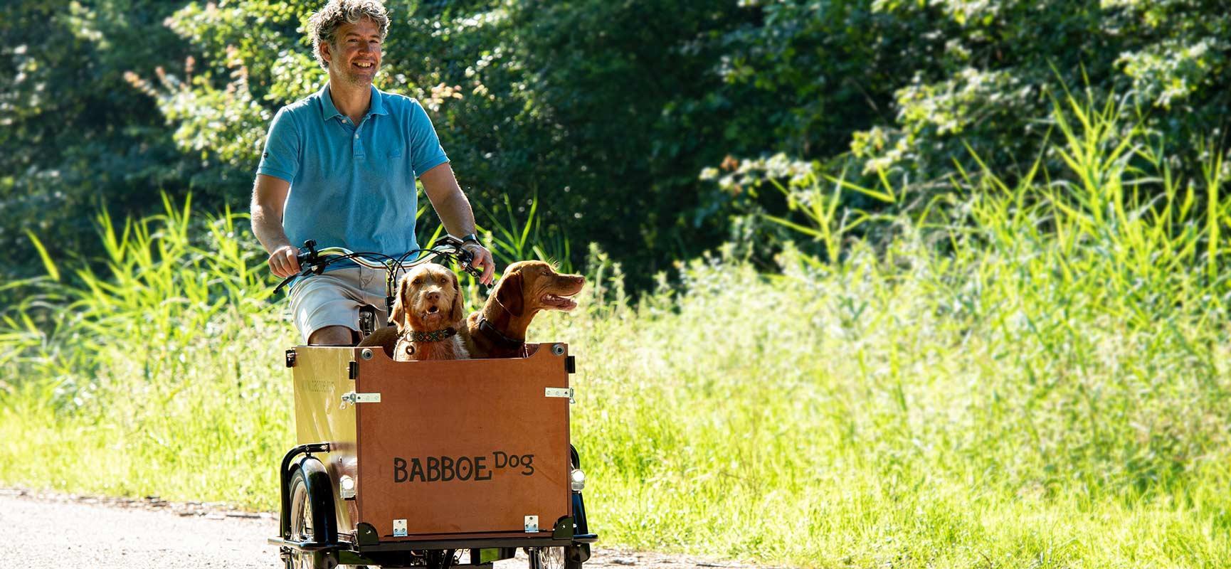 radfahren mit hund