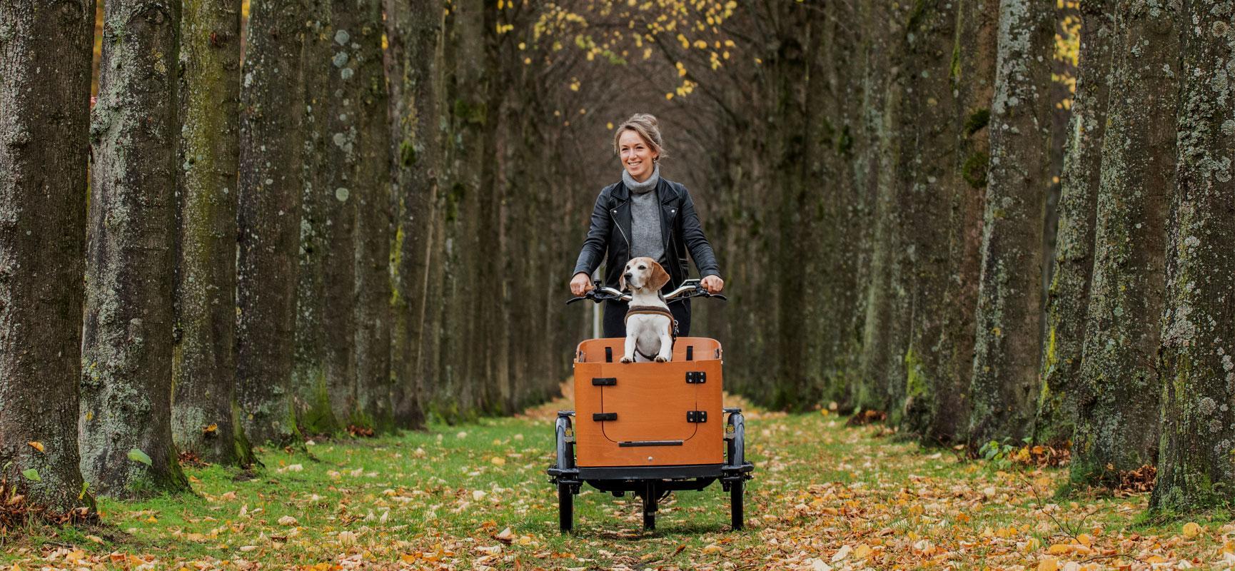 Radfahren mit Hund: Was muss ich vor dem Kauf eines Hundelastenfahrrades wissen?