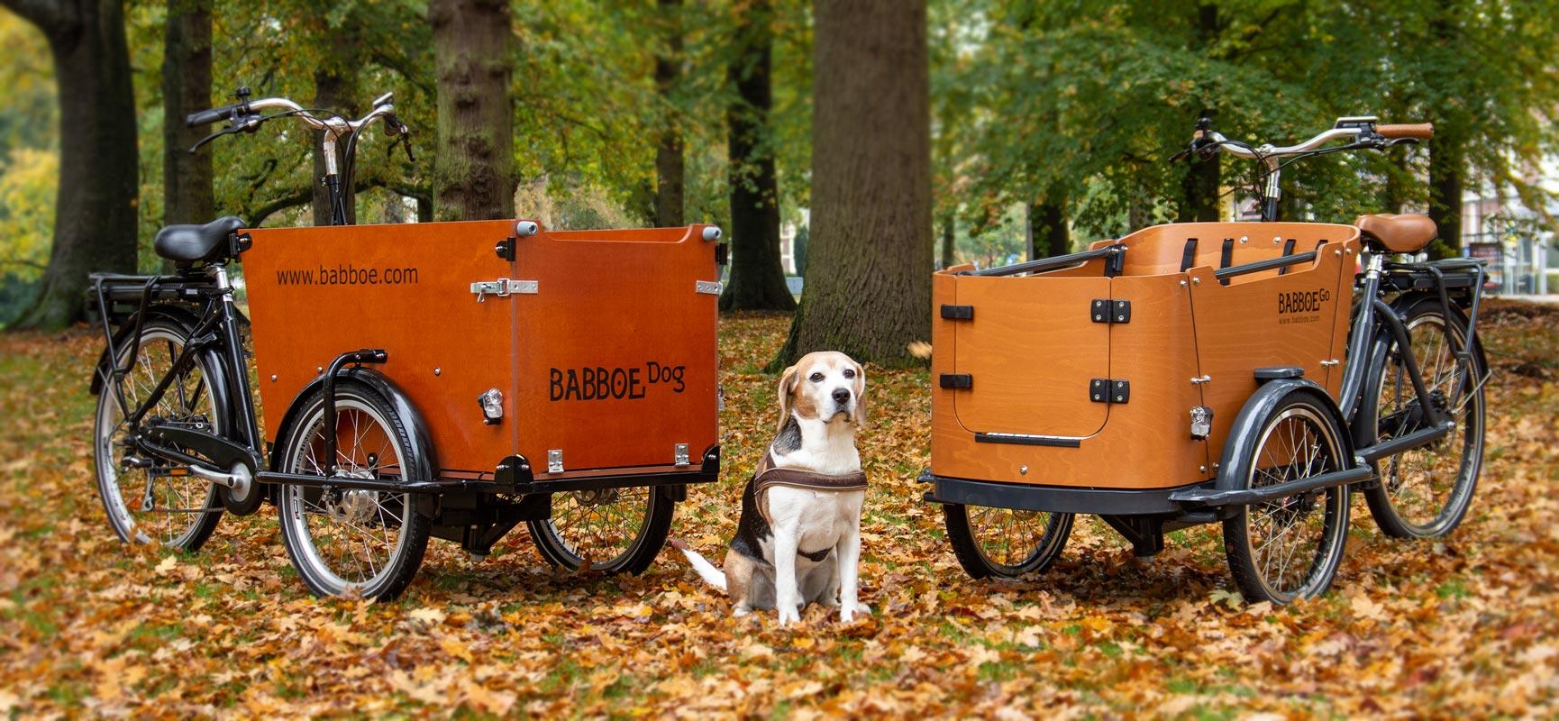 Babboe dog bike 2025
