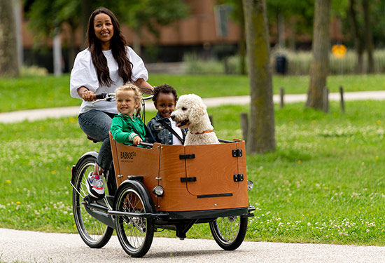 Familienfahrrad mit Tür Go Babboe