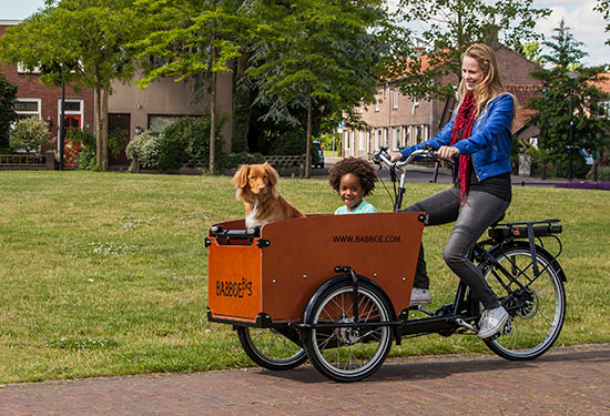 Babboe Big robustes Lastenrad Dreirad Babboe