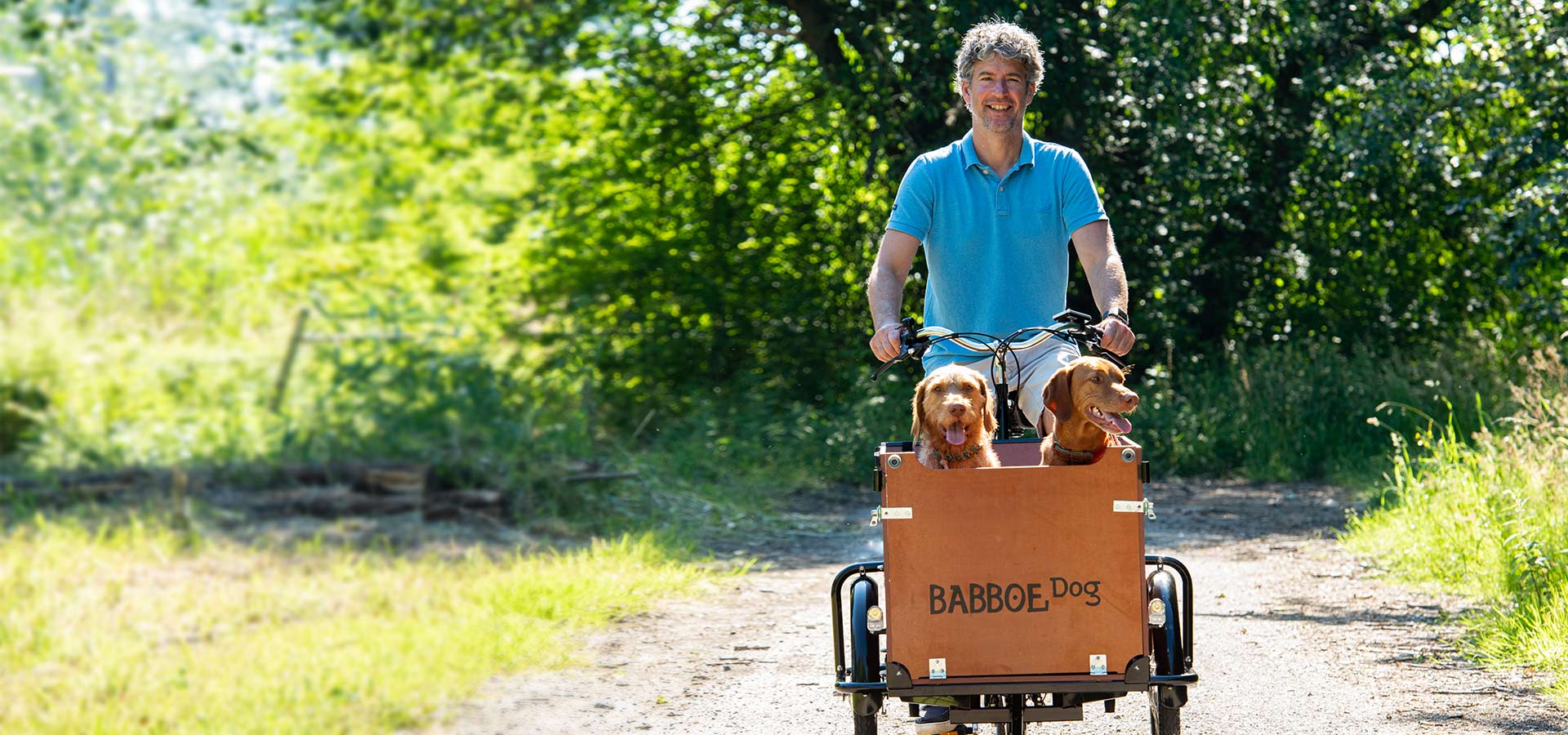 Babboe Dog Hunde-Lastenrad