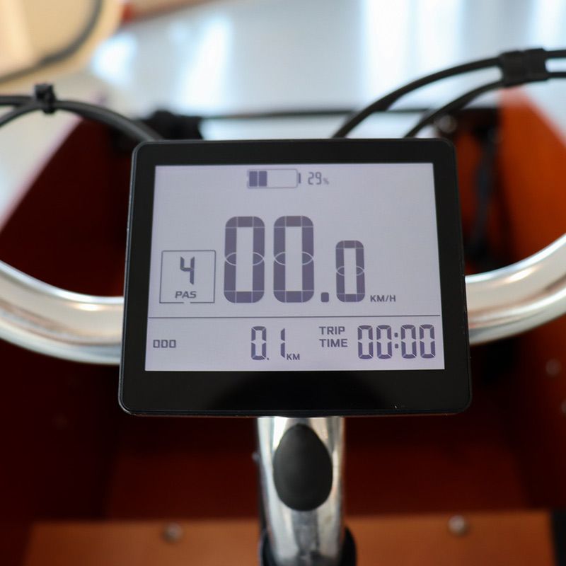 Babboe Curve E elektrisches Lastenrad fur 4 Kinder Babboe