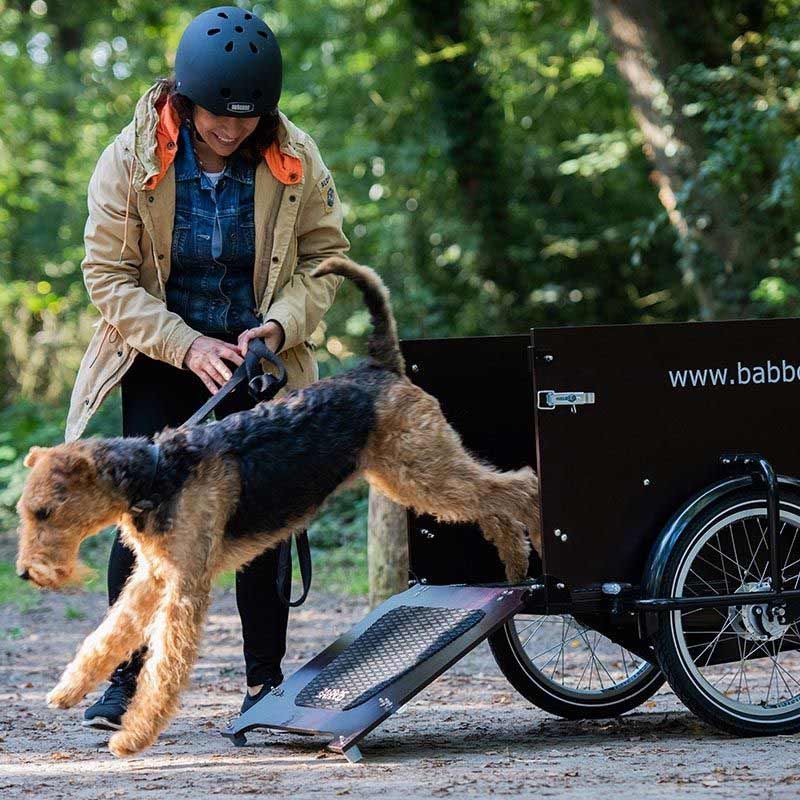 Hund aufs Fahrrad Ja mit dem Babboe Dog Lastenrad Babboe