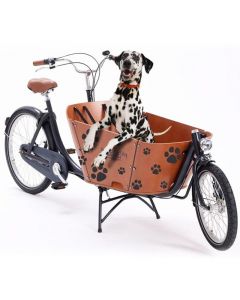 hundetransport dog babboe