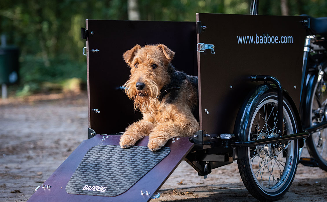 Hundetransportfahrrad mit Hunderampe