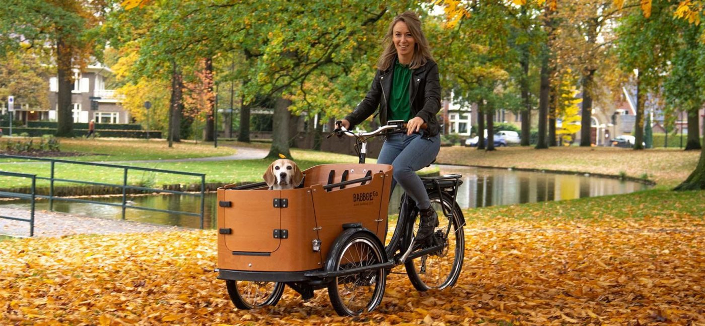 Schone Lastenfahrrad Elektro Hund Gebraucht Fotos