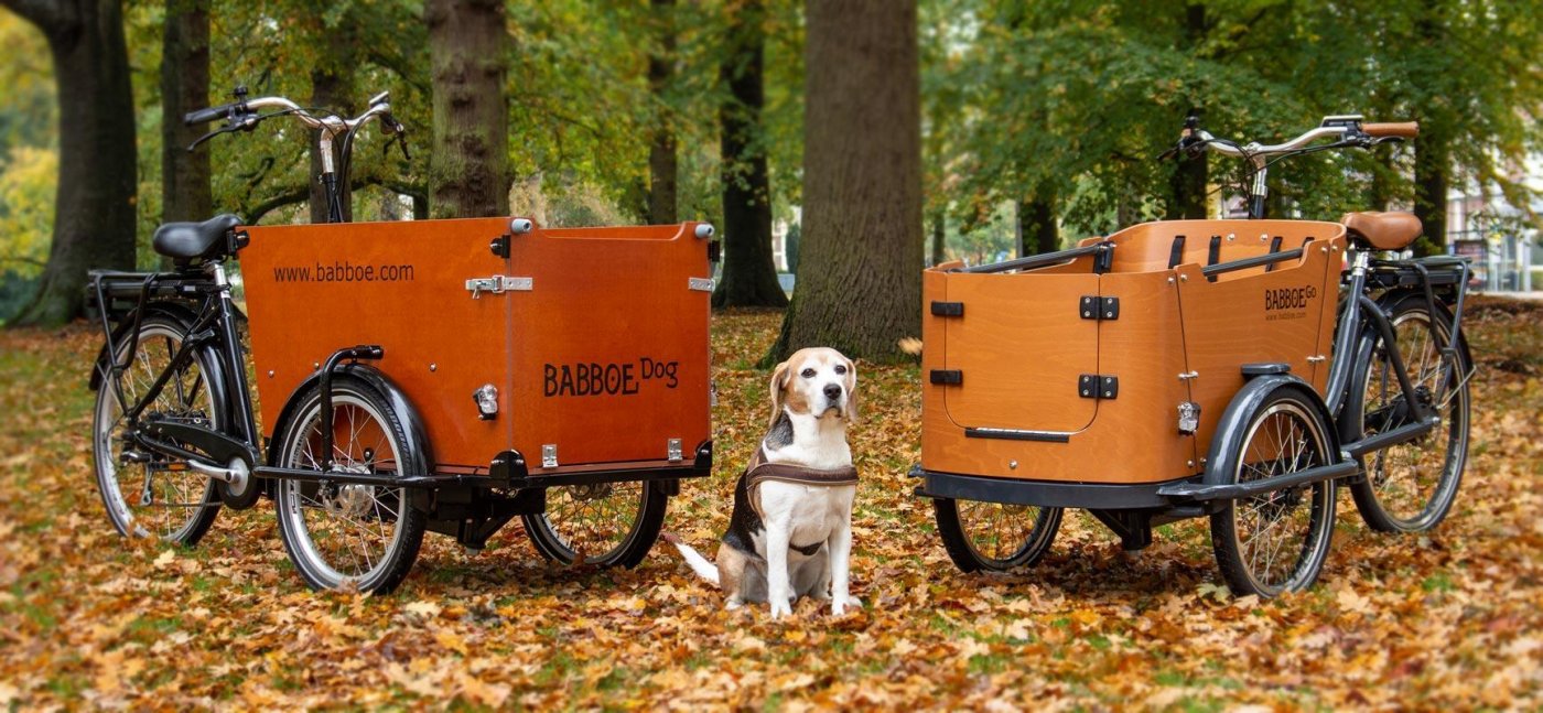 Cargobike Hund das Abenteuer geht los Babboe