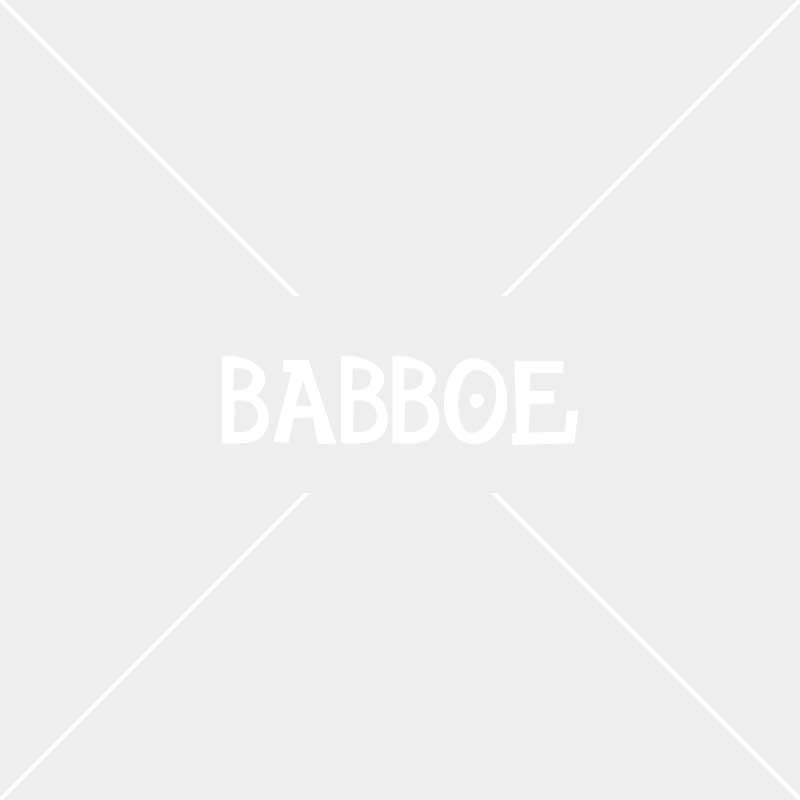 Babboe - kindgerechte Lastenräder